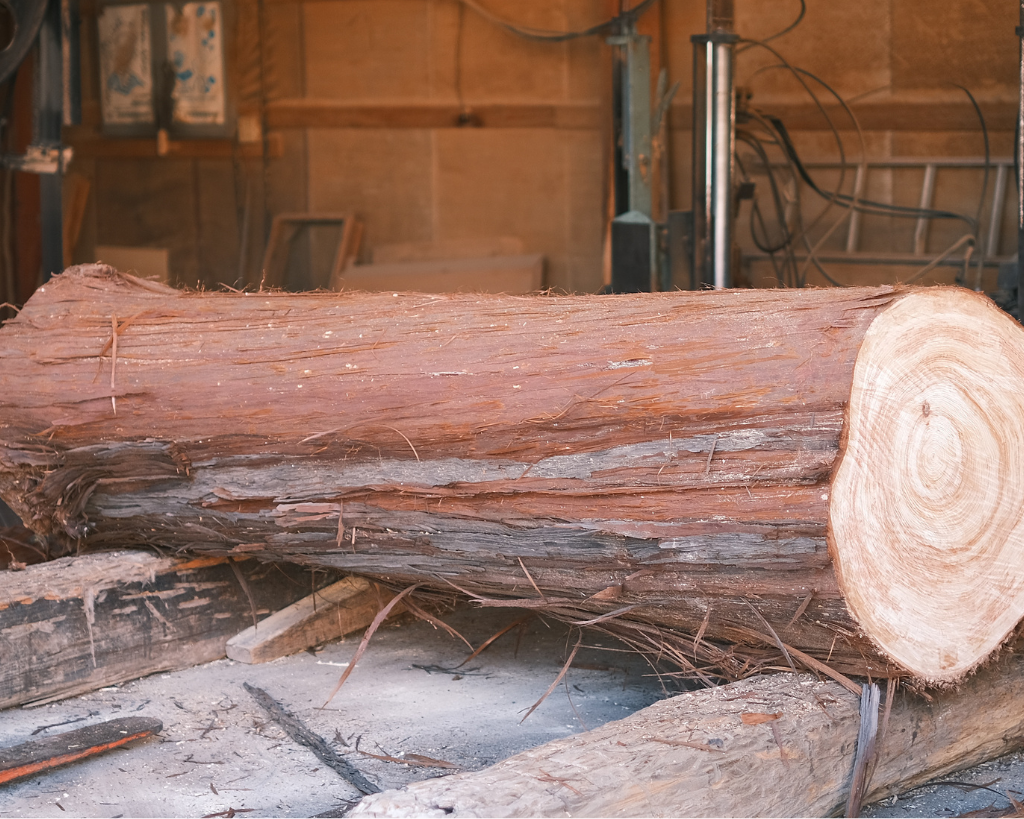 MANAITA - SMALL - KINARI